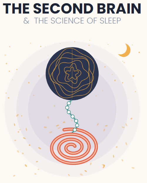 The Second Brain and the Science of Sleep