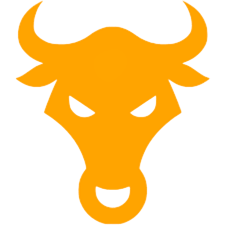 orangebullshop.store favicon